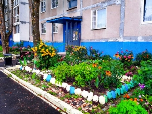 Красивые клумбы украшают наш город