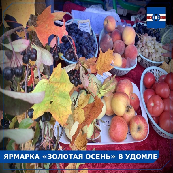24 сентября в Удомельском городском округе прошла ярмарка выходного дня «Золотая осень» на территории городского рынка