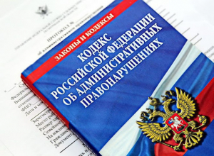 Информация по протоколам за 2020 год