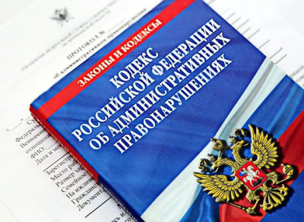 Информация по протоколам за 2020 год
