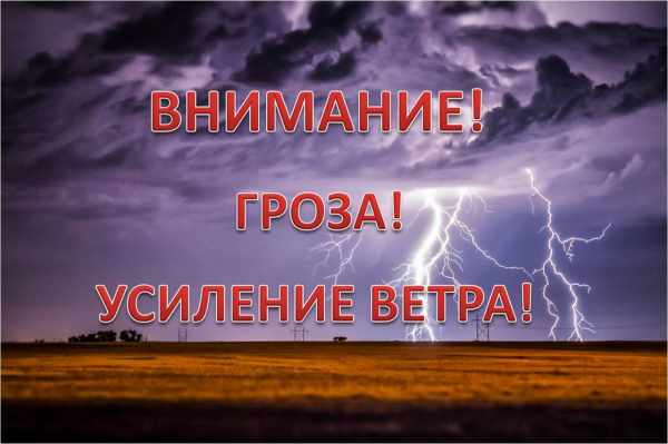 В ближайшие 1-2 часа с сохранением до 22:00 3 августа в отдельных районах Тверской области ожидается гроза, усиление ветра при грозе отдельными порывами до 15 м/с