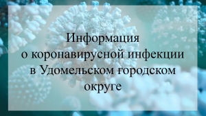 На 17 февраля 2022 года в Удомельском ГО коронавирусной инфекцией болеют 1080 человек