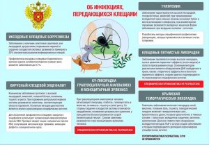 Памятка по профилактике инфекций передающихся клещами