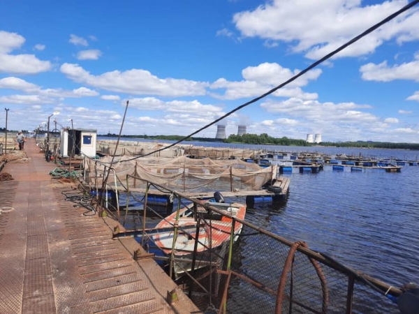 29 июня 2020 года Глава Удомельского городского округа Рем Рихтер посетил развивающееся рыбохозяйственное предприятие ООО «Акваресурсы»