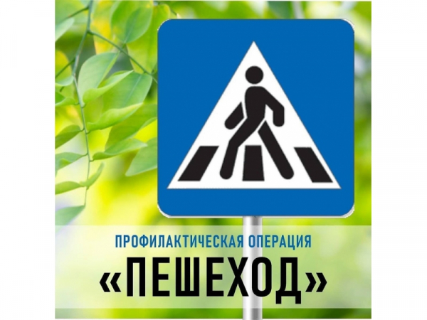 Сотрудники Госавтоинспекции в Удомле проводят  профилактическое мероприятие «Пешеход».