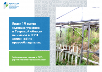 Более 18 тысяч садовых участков в Тверской области не имеют в ЕГРН записи об их правообладателях