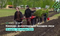 В России стартует Открытый конкурс посадок деревьев на лесных территориях, пострадавших от природных катаклизмов