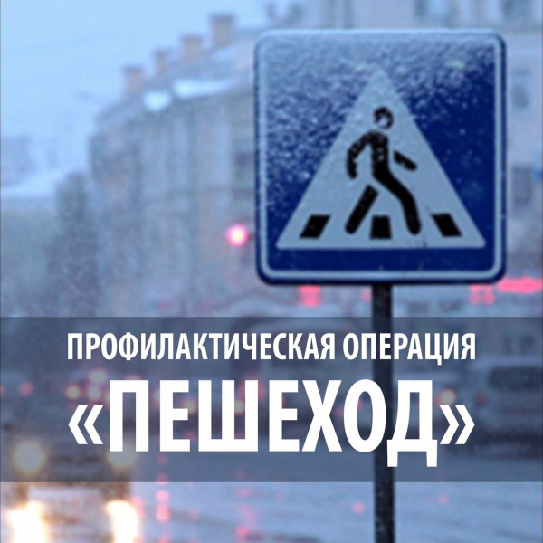 Сотрудники Госавтоинспекции проведут  в Удомельском городском округе профилактическое мероприятие «Пешеход».