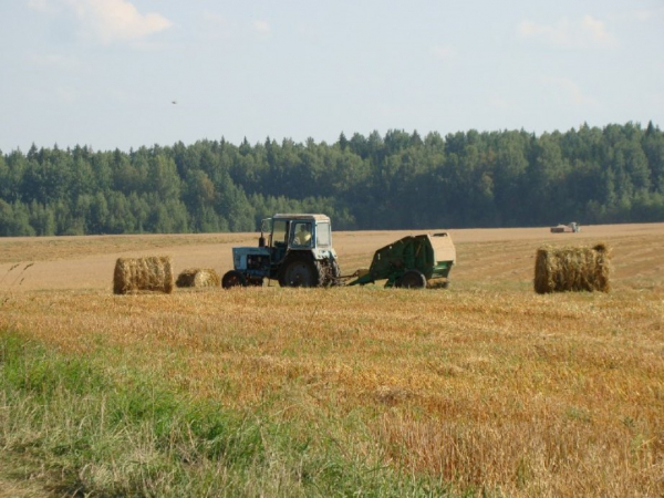 30 августа состоялось первое кустовое совещание по развитию сельского хозяйства в Молдинском территориальном отделе