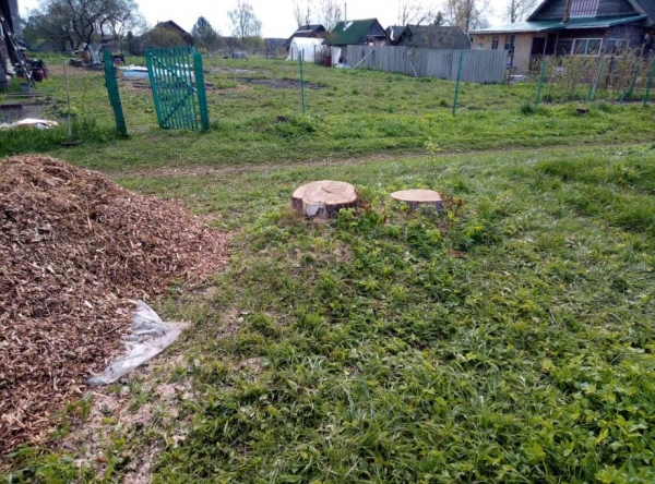 В мае текущего года проведена санитарная рубка 53-х аварийных деревьев и 2000 кв. м кустов на территории Удомельского городского округа.