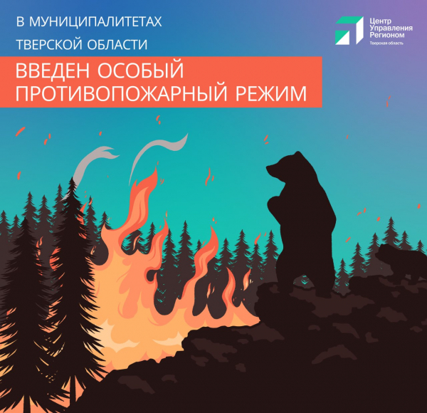 Особый противопожарный режим в Удомельском городском округе продолжится до 31 августа