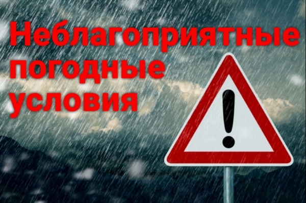 Удомельская Госавтоинспекция просит водителей быть внимательными на дорогах, особенно в дождливую погоду!