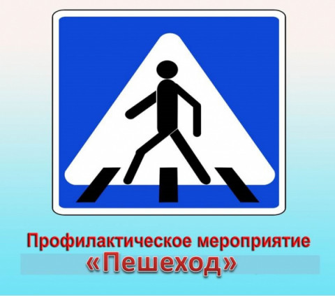 Сотрудники Госавтоинспекции в Удомле проводят  профилактическое мероприятие «Пешеход»