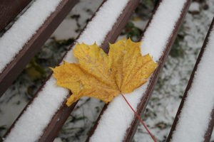 В ближайшие 1-3 часа с сохранением до 10.00 28 октября 2023 года в отдельных районах Тверской области ожидается гололед
