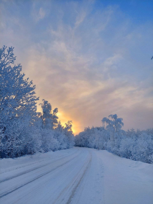 11 января в Тверской области ожидается ухудшение погоды