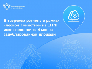 В тверском регионе в рамках &laquo;лесной амнистии&raquo; из ЕГРН исключено почти 4 млн га задублированной площади