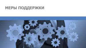 Дополнительные меры поддержки в части предоставления социальных гарантий