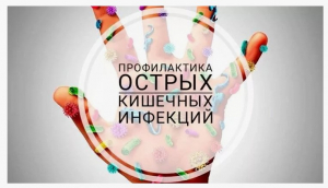 Профилактика острых кишечных инфекций