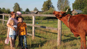Конкурс для многодетных семей "Лучшее семейное подворье" продолжается