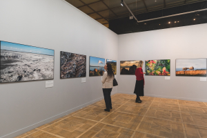 Работы воспитанников проекта Фонда &laquo;АТР АЭС&raquo; &laquo;В объятиях природы&raquo; вошли в экспозицию юбилейного фестиваля природы &laquo;Первозданная Россия&raquo;