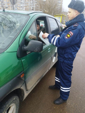 Сотрудники Госавтоинспекции провели профилактическое мероприятие &laquo;Детское кресло&raquo;