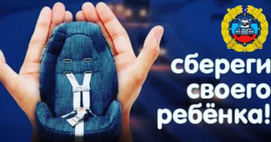 В Удомле сотрудники отделения ГИБДД  проведут профилактическое мероприятие &laquo;Автокресло&raquo;.