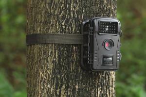 Проведение рейдов для выявления и пресечения фактов несанкционированного сброса строительного и другого запрещенного мусора на контейнерные площадки