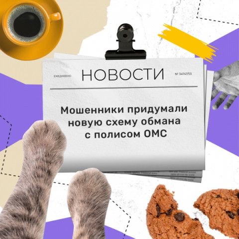 Тверичан предупреждают: мошенники придумали новую схему обмана с полисом ОМС
