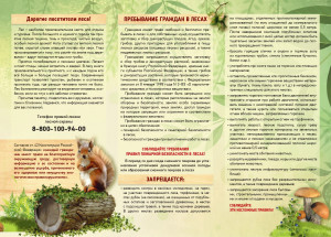 Памятка пребывания граждан в лесах Удомельского городского округа