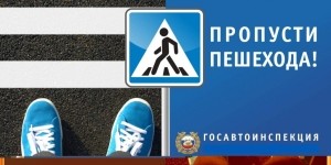 Госавтоинспекция Удомельского городского округа подвела итоги профилактической операции &laquo;Пешеход&raquo;.