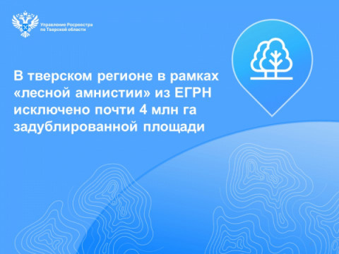 В тверском регионе в рамках «лесной амнистии» из ЕГРН исключено почти 4 млн га задублированной площади