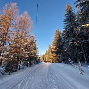 17 января в Тверской области ожидается усиление ветра отдельными порывами до 15 м/с