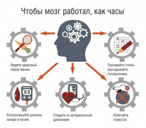 Сохранение здоровья мозга