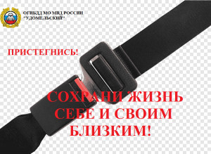 Сотрудники Удомельской Госавтоинспекции призывают водителей и пассажиров использовать ремни безопасности.