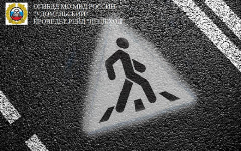 Сотрудники Госавтоинспекции проведут  профилактическое мероприятие «Пешеход».