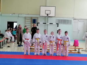 Соревнования по ката и кумитэ