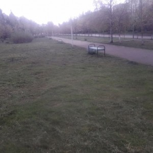 18 мая 2020 года подрядчик ООО "ТД Измельчитель" приступил к покосу территорий города Удомля