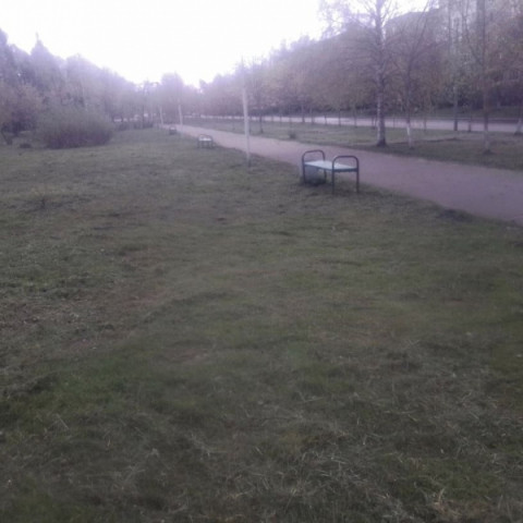 18 мая 2020 года подрядчик ООО "ТД Измельчитель" приступил к покосу территорий города Удомля