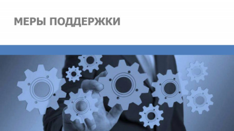 Дополнительные меры поддержки в части предоставления социальных гарантий