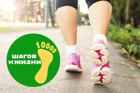 7 апреля 2024 года пройдет Международная акция «10 000 шагов к жизни» под девизом «Здоровье для всех!»