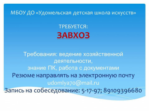 В Удомельской детской школе искусств открыты вакансии