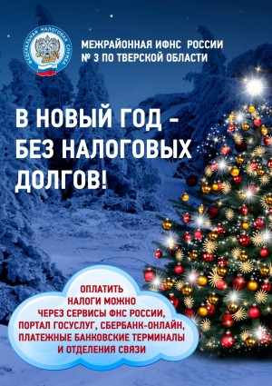 &laquo;В Новый год &ndash; без налоговых долгов!&raquo;