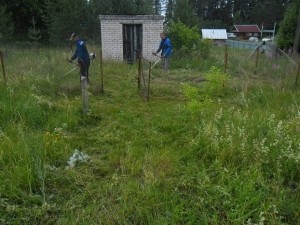 На территории сельских населенных пунктов организованы  работы по благоустройству территорий