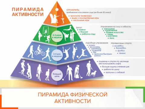 Скандинавская ходьба зимой