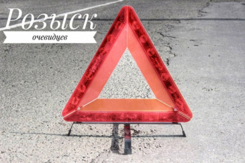 Удомельская Госавтоинспекция  разыскивает водителя сбившего лося