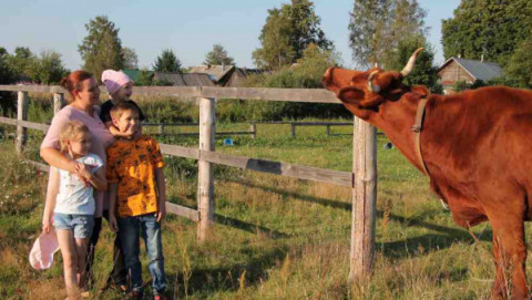 Конкурс для многодетных семей "Лучшее семейное подворье" продолжается