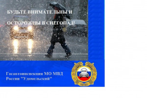 Удомельская Госавтоинспекция рекомендует водителям быть осторожнее на дороге в снегопад.