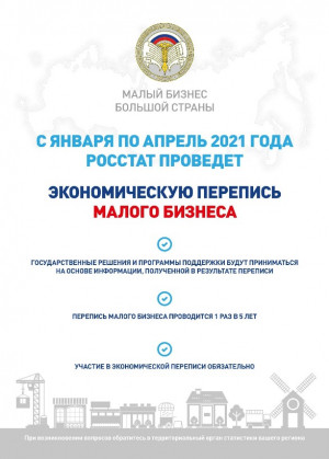 Начинается прием статистических отчетов в рамках Экономической переписи малого и среднего бизнеса за 2020 год