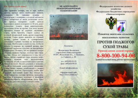 Памятка о правилах поведения граждан в лесах в рамках профилактики противопожарных мероприятий