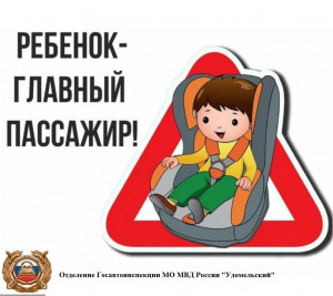 Сотрудники удомельской Госавтоинспекции проведут профилактическое мероприятие &laquo;Детское кресло&raquo;.